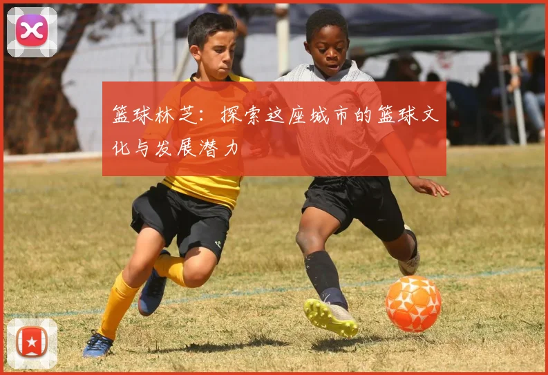 篮球林芝：探索这座城市的篮球文化与发展潜力