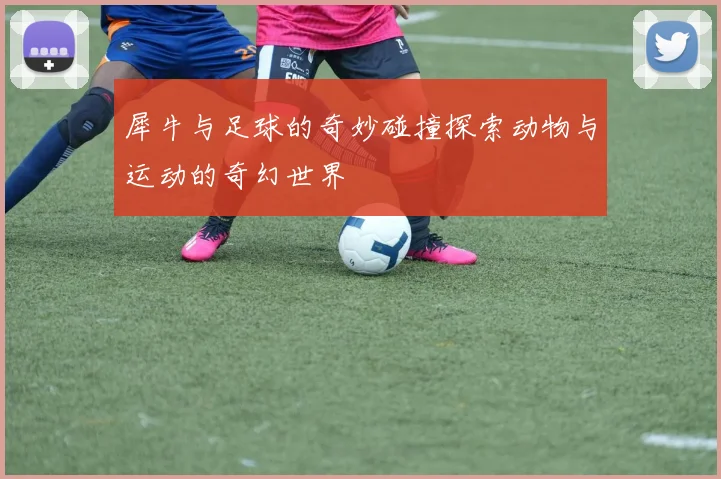 犀牛与足球的奇妙碰撞探索动物与运动的奇幻世界
