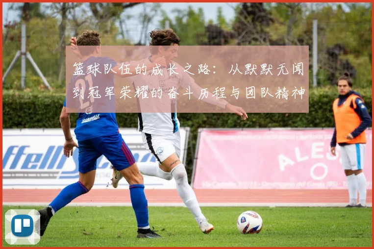 篮球队伍的成长之路：从默默无闻到冠军荣耀的奋斗历程与团队精神