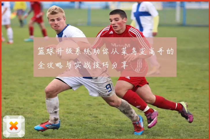 篮球升级系统助你从菜鸟变高手的全攻略与实战技巧分享