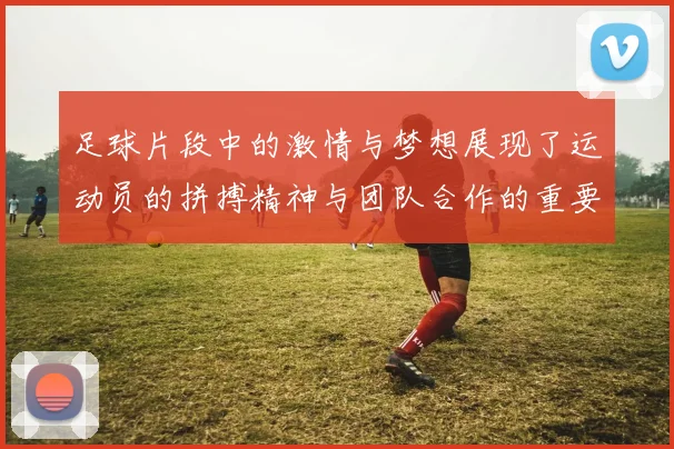 足球片段中的激情与梦想展现了运动员的拼搏精神与团队合作的重要性