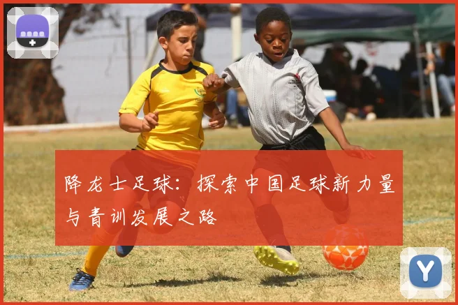 降龙士足球：探索中国足球新力量与青训发展之路