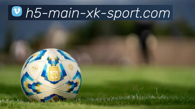 星空体育官网平台生态图